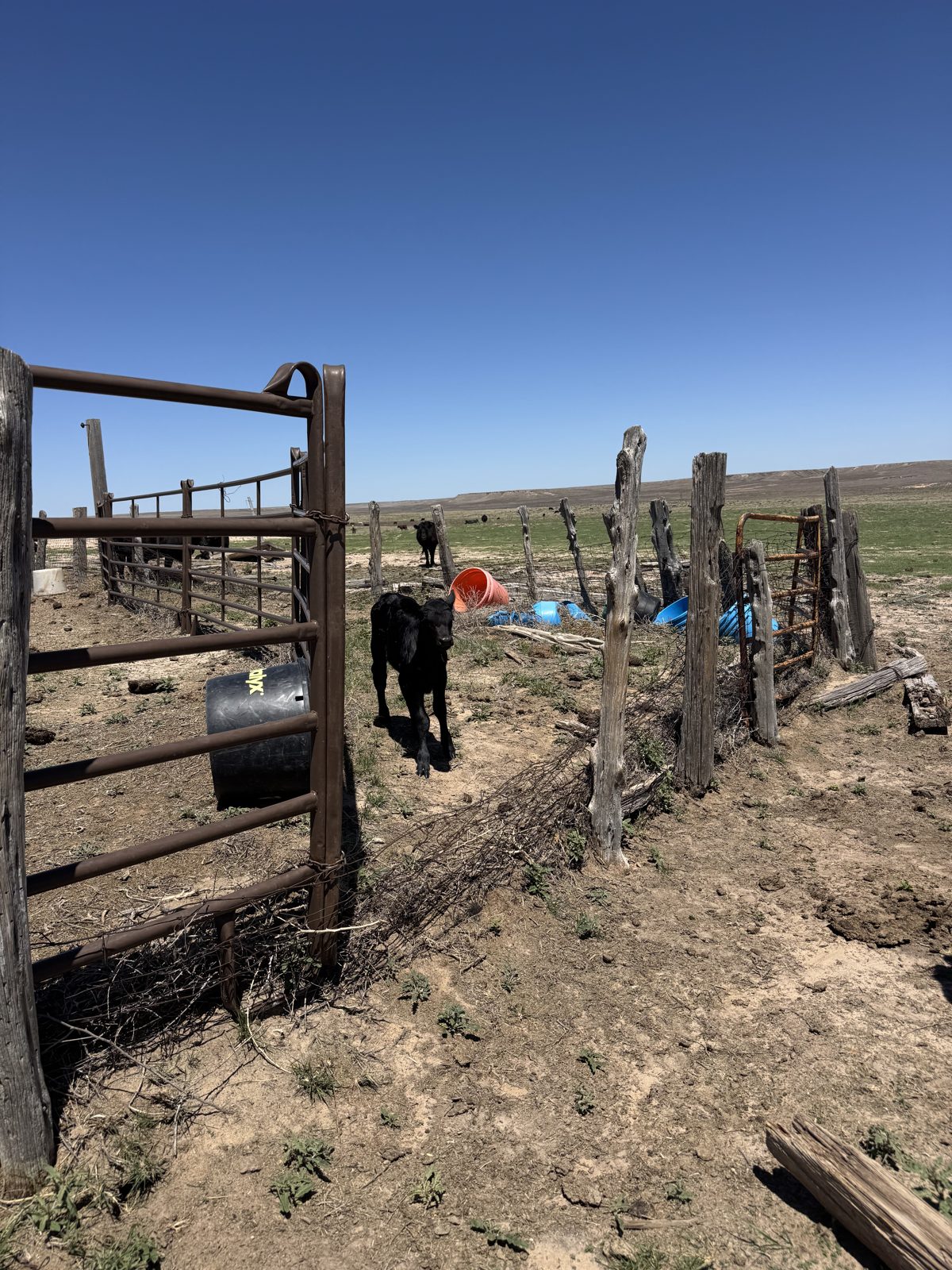 Working pens and corrals on the Ellison ranch, Texas Panhandle