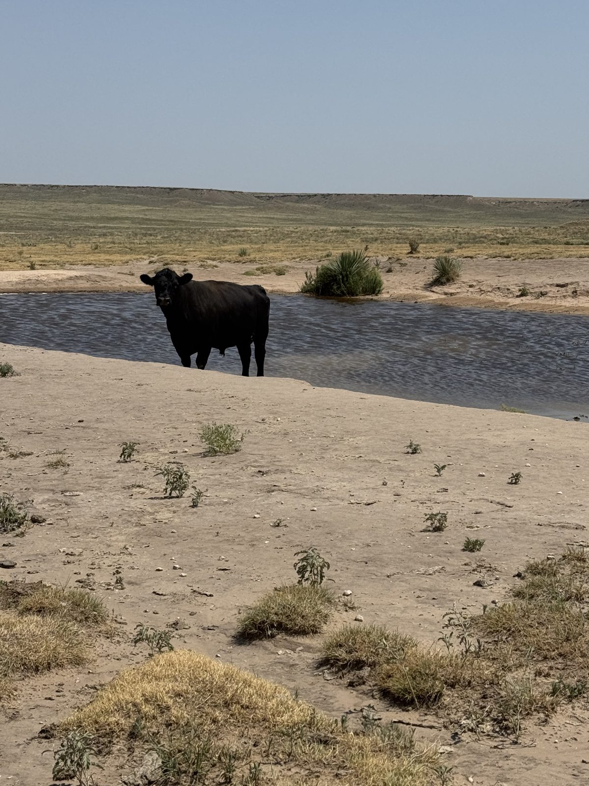 Livestock water on the Ellison ranch, Texas Panhandle