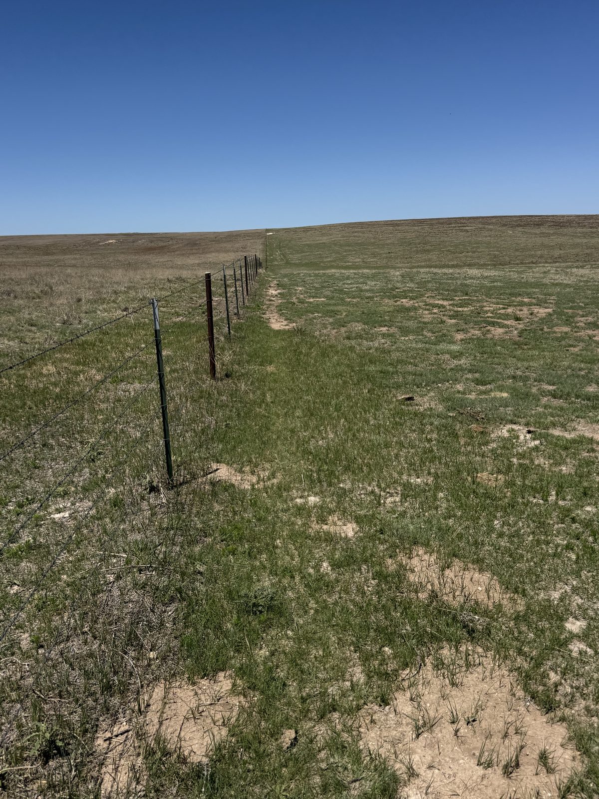 Fence line on the Ellison family pasture near Stratford, Texas Panhandle