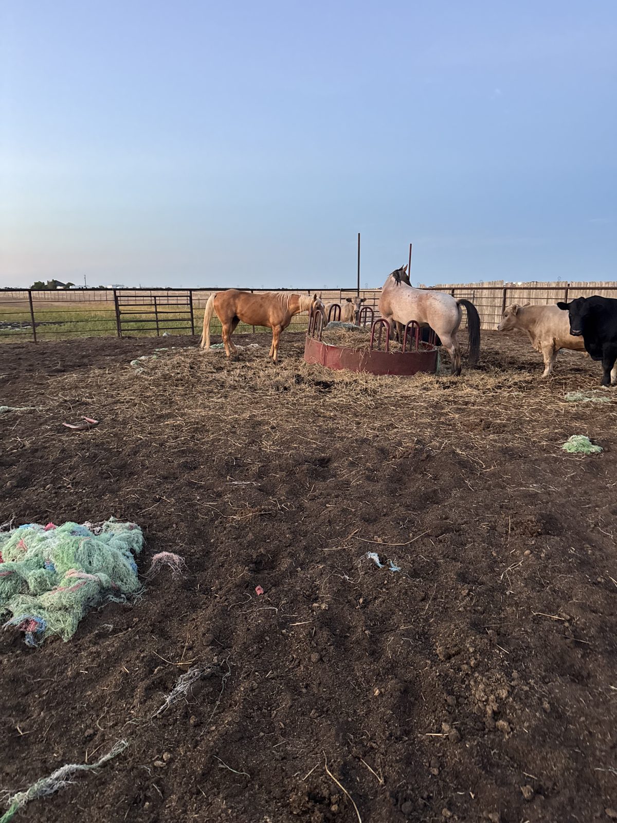 Working pens and corrals on the Ellison ranch, Texas Panhandle