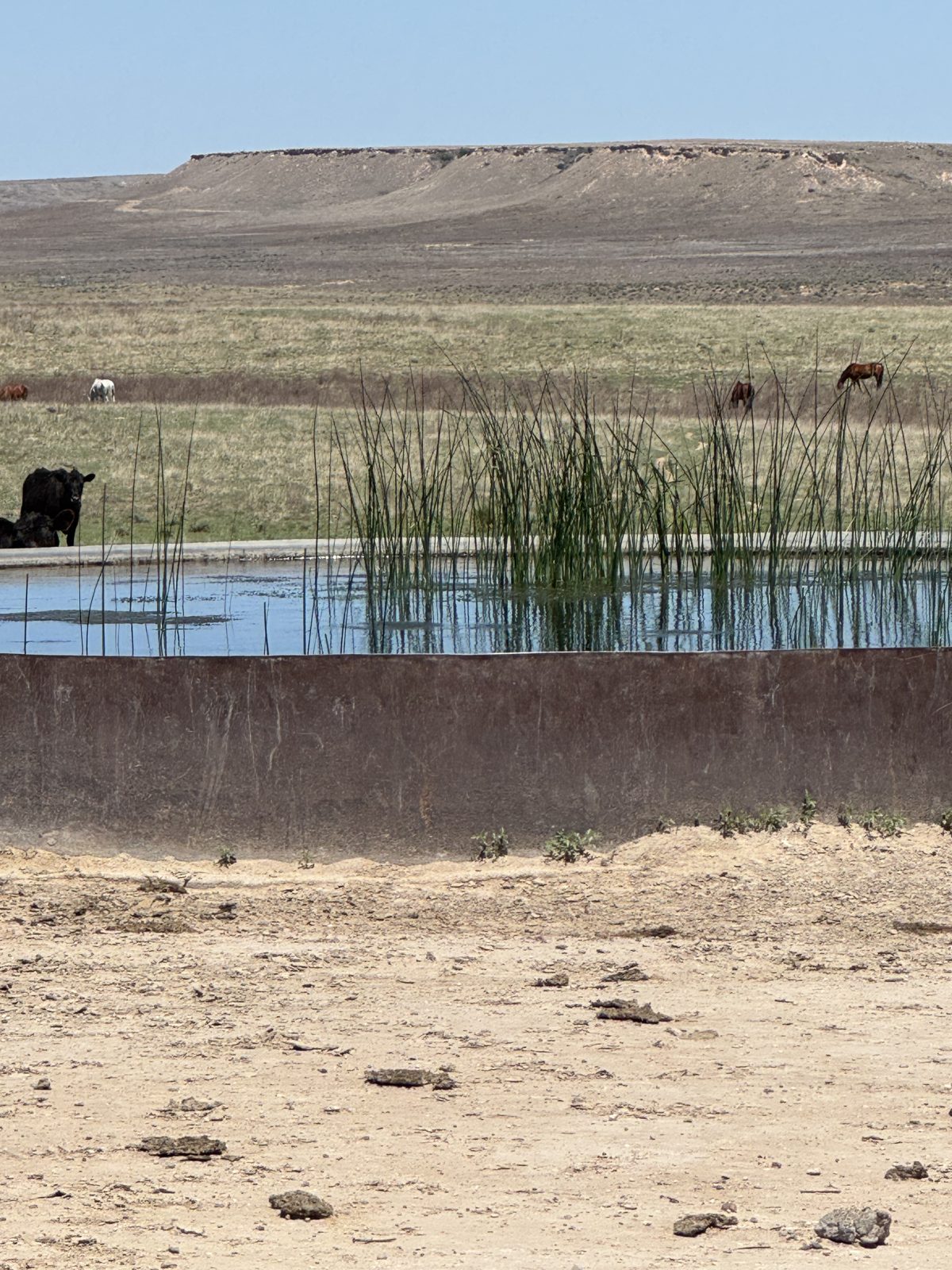 Livestock water on the Ellison ranch, Texas Panhandle